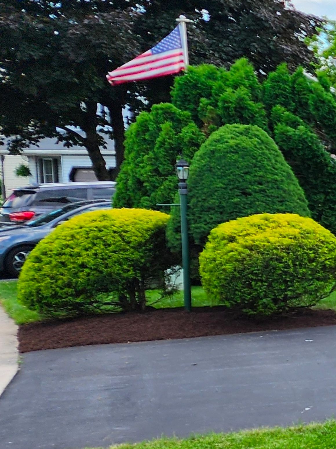 Royals Lawn Care landscape work