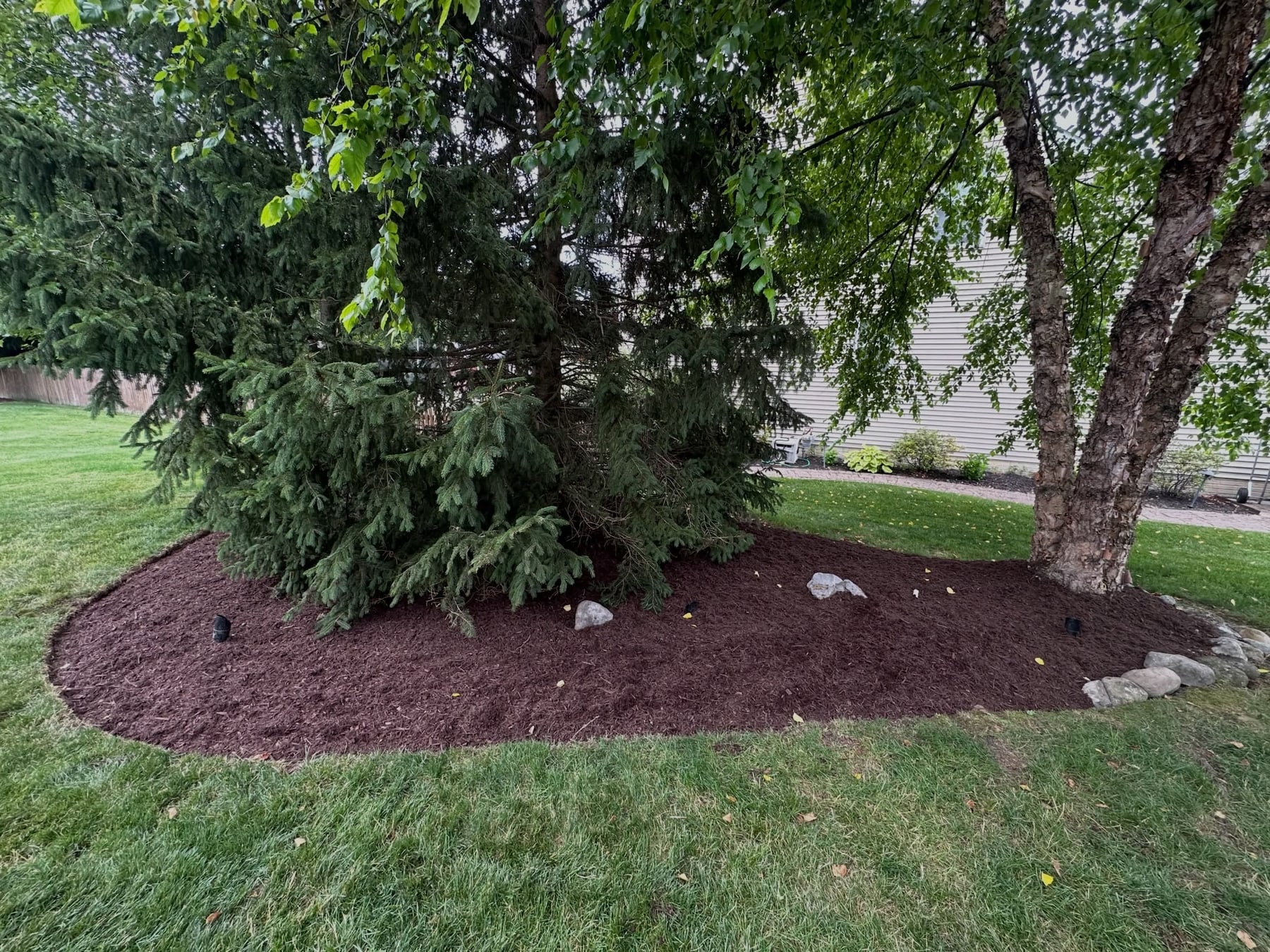 Mulch Installation Detail by Royals Lawn Care