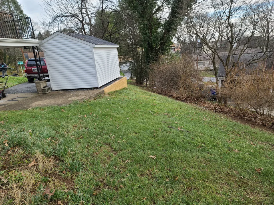 Backyard after leaf removal