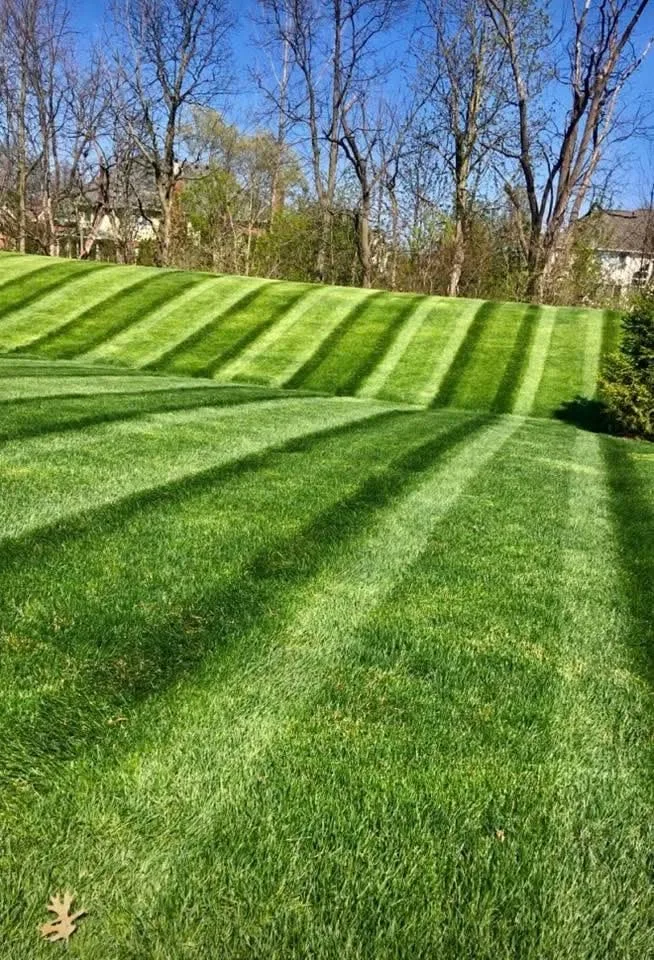 Lawn and landscape work from the Royals project gallery