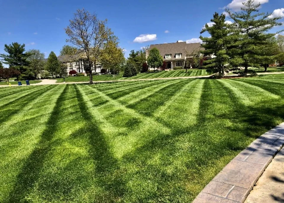 Lawn and landscape work from the Royals project gallery