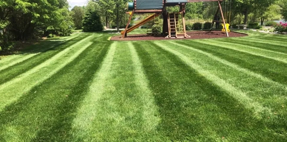 Lawn and landscape work from the Royals project gallery